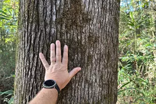 100 Mimosa Rd, Griffin, GA 30223 - Photo 28