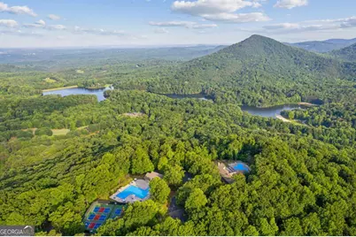 297 Fairview Court, Jasper, GA 30143 - Photo 60