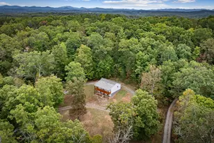 4097 Mobile Rd, McCaysville, GA 30555 - Photo 46