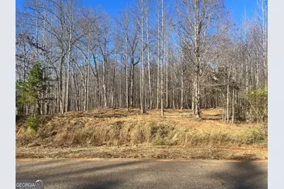 3853 Reservoir Drive #TRACT 12, Gainesville, GA 30507 - Photo 1