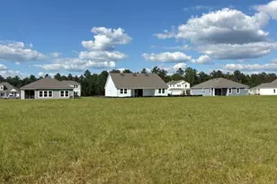 223 Park View Ln, Kingsland, GA 31548 - Photo 44