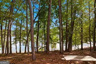 245 Currahee Pl, Toccoa, GA 30577 - Photo 48