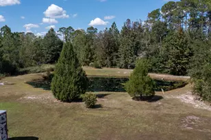 1089 Picketts Mill Trail, Waynesville, GA 31566 - Photo 4