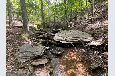 0 Vinson Mountain Road, Rockmart, GA 30153 - Photo 10