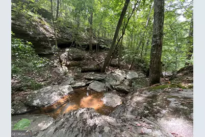 0 Vinson Mountain Road, Rockmart, GA 30153 - Photo 6