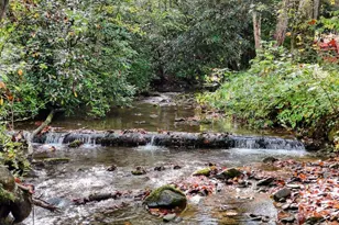 2515 Rd 9999, Hiawassee, GA 30546 - Photo 46