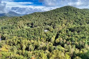 2515 Rd 9999, Hiawassee, GA 30546 - Photo 50