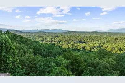 Lt 720 Morton Drive, Ellijay, GA 30540 - Photo 10
