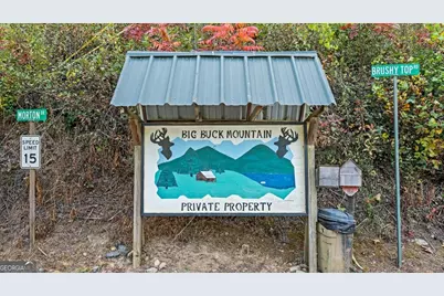 Lt 720 Morton Drive, Ellijay, GA 30540 - Photo 8