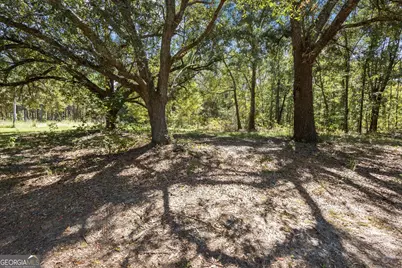 983 Johnny Brannen, Statesboro, GA 30458 - Photo 4