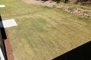 173 Hynes St, Bethlehem, GA 30620 - Photo 4