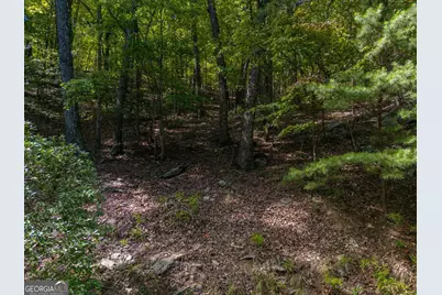 0 Little Hendricks Mountain Road, Jasper, GA 30143 - Photo 2