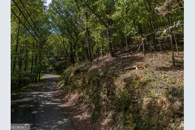 0 Denny Ridge Road, Jasper, GA 30143 - Photo 2
