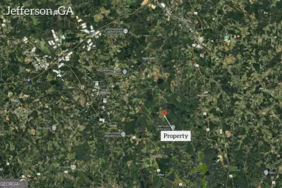 0 Curry Farms Road #LOT 14, Jefferson, GA 30549 - Photo 6