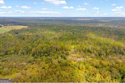 0 Curry Farms Road #LOT 31, Jefferson, GA 30549 - Photo 32