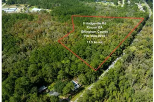 0 Hodgeville Rd, Rincon, GA 31326 - Photo 1