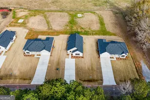 166 Mathews Rd, Milner, GA 30257 - Photo 30