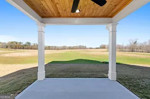 166 Mathews Rd, Milner, GA 30257 - Photo 28