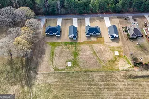 166 Mathews Rd, Milner, GA 30257 - Photo 32