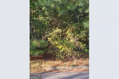 1013 Columbus Drive, Jonesboro, GA 30236 - Photo 1