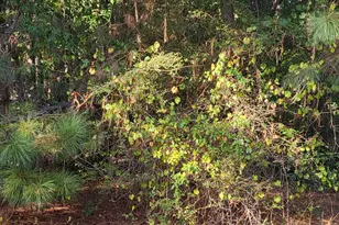 1013 Columbus Dr, Jonesboro, GA 30236 - Photo 1