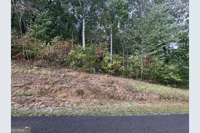 174 Trailwood #174, Ellijay, GA 30536 - Photo 6