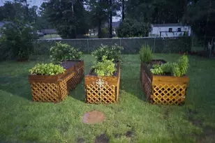 511 W Smith St, Claxton, GA 30417 - Photo 52