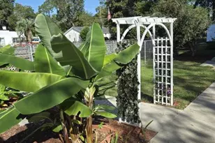 511 W Smith St, Claxton, GA 30417 - Photo 54