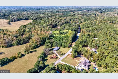 114 Dingler Road, Moreland, GA 30259 - Photo 30