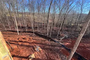 219 Signing Tree Ln, Clarkesville, GA 30523 - Photo 12