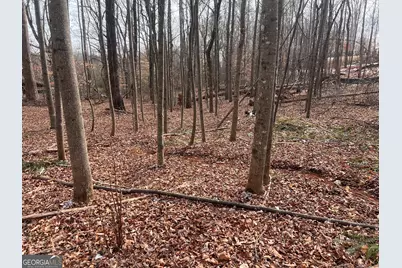 219 Signing Tree Lane, Clarkesville, GA 30523 - Photo 26