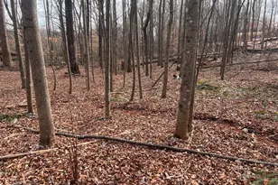 219 Signing Tree Ln, Clarkesville, GA 30523 - Photo 26