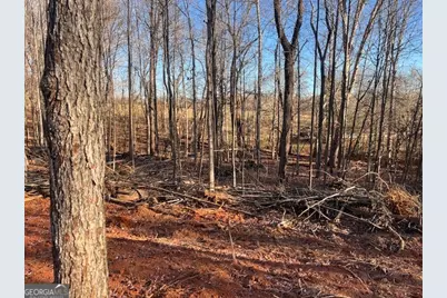 219 Signing Tree Lane, Clarkesville, GA 30523 - Photo 4