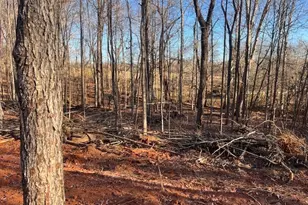 219 Signing Tree Ln, Clarkesville, GA 30523 - Photo 4