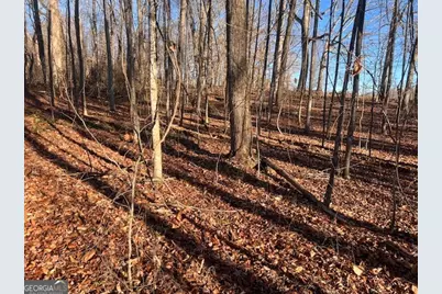 219 Signing Tree Lane, Clarkesville, GA 30523 - Photo 18