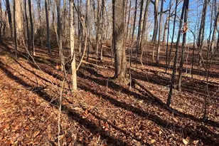 219 Signing Tree Ln, Clarkesville, GA 30523 - Photo 18