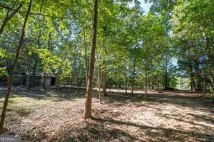 399 Estelle Middleton Rd, Chatsworth, GA 30705 - Photo 8