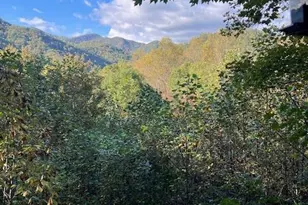 2210 Nichols Ln, Clayton, GA 30525 - Photo 2