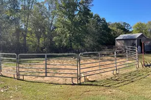 5655 Elmo Rd, Cumming, GA 30028 - Photo 12