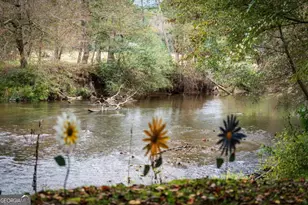 450 Cartecay Riv Run, Ellijay, GA 30536 - Photo 50