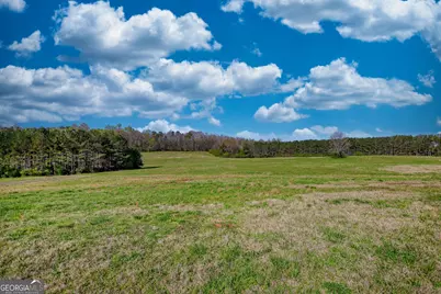 610 Loth Wages Road, Dacula, GA 30019 - Photo 34