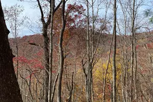 L334 335 Brushy Top Dr, Ellijay, GA 30540 - Photo 1