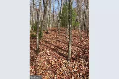 L334 335 Brushy Top Drive #334 335, Ellijay, GA 30540 - Photo 4
