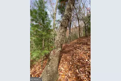 L334 335 Brushy Top Drive #334 335, Ellijay, GA 30540 - Photo 8