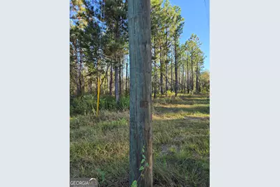 600 Alton Lawson Road, Adrian, GA 31002 - Photo 8