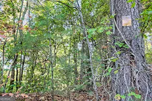 11 Copperhead Ln, Clayton, GA 30525 - Photo 20