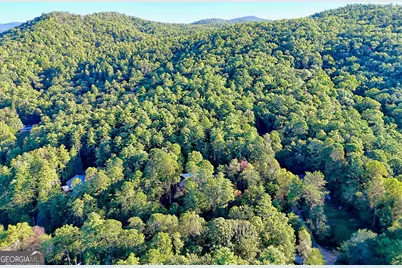 11 Copperhead Lane, Clayton, GA 30525 - Photo 24