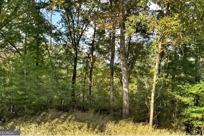 216 Pleasant Gap Road, Ellijay, GA 30540 - Photo 2