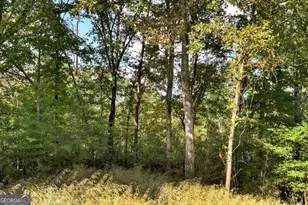 216 Pleasant Gap Rd, Ellijay, GA 30540 - Photo 2