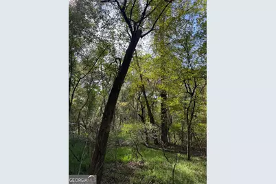 0 Hebron Church Road, Statham, GA 30666 - Photo 16